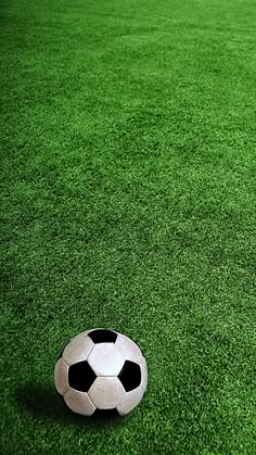 a soccer ball sitting on top of a lush green field