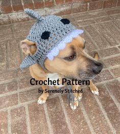 a dog wearing a crochet hat on its head