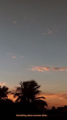 an airplane is flying in the sky with palm trees and buildings behind it at sunset