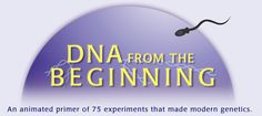 an animated primer of 75 experiments that made modern gentiles more interesting than ever