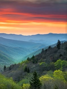 the mountains are covered in green and yellow foliage as the sun is setting over them