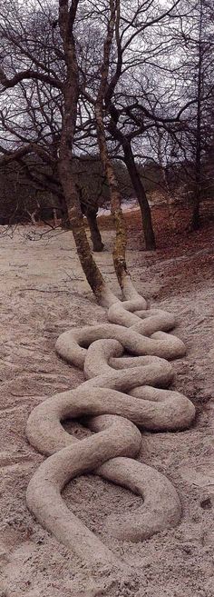 a row of rocks sitting in the middle of a dirt field next to some trees