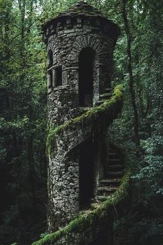 Overgrown Forest, Jungle Survival, Lost In The Forest, Dense Forest, Abandoned Castles, Forest Pictures, Fantasy Places, In The Jungle, Stay Alive