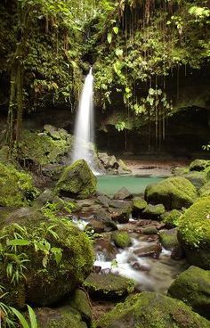 a small waterfall in the middle of a forest filled with green mossy rocks and trees