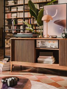 a living room with bookshelves and a plant in the corner on top of it