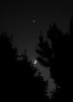 the moon is seen through some trees in the night sky with no one on it