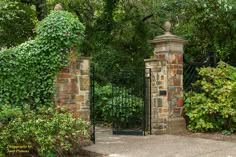 an iron gate is surrounded by greenery and shrubbery