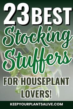 a potted plant with the words 23 best stocking stuff for houseplant lovers