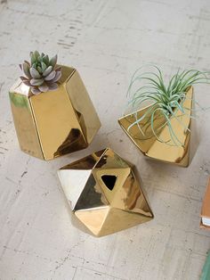 three gold geometric vases with air plants in them sitting on a table next to a book