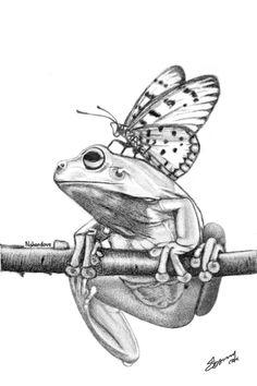 a drawing of a frog with a butterfly on it's head sitting on a branch