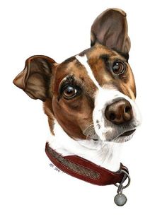 a drawing of a dog wearing a collar