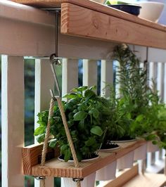 some plants are hanging from a shelf on a porch or deck with rope attached to the railing