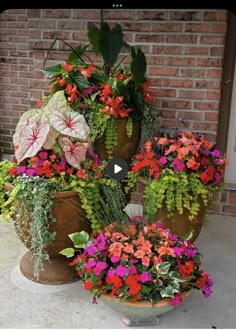 several potted plants sitting next to each other in front of a brick wall and door