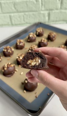 a hand holding a chocolate cookie with nuts on it