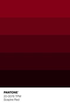 pantone's red and black color scheme is shown in this graphic design, with the