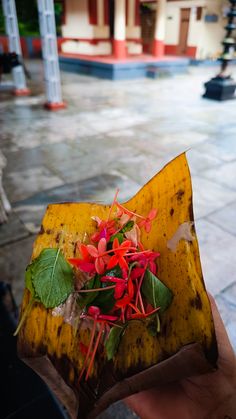 a hand holding a yellow object with red flowers on it and green leaves in the center