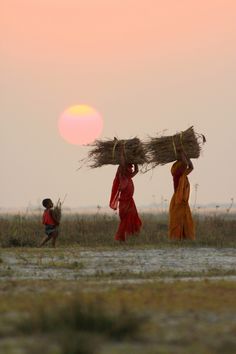 three people carrying large sticks across a field at sunset or dawn, with the sun setting in the background