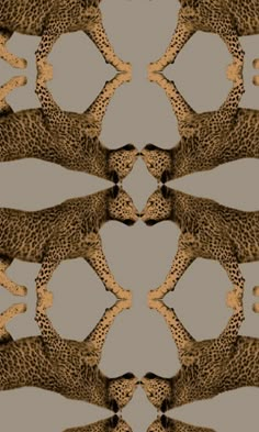 sample sabor leopard print gold wallpaper by walls republic 1 Shopping Wallpaper, Glamorous Wallpaper, Leopard Print Background, Leopard Print Wallpaper, Leopard Print Pattern, Animal Print Wallpaper, Luxury Wallpaper, Leopard Spots, Gold Wallpaper