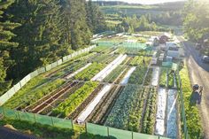 an aerial view of a vegetable garden in the middle of a rural area with cars parked nearby