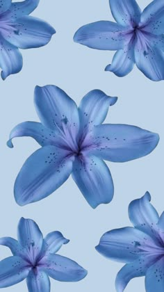 several blue flowers on a light blue background