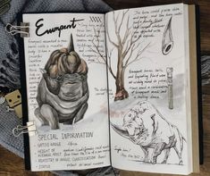 an open book with drawings and writing on the pages next to a pencil drawing of rhinoceros