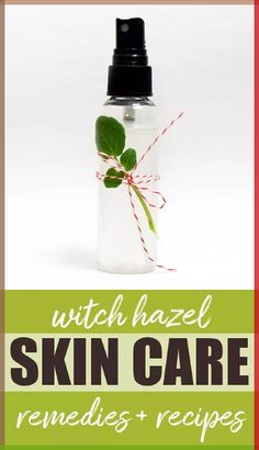 Learn about the powerful herbal properties and skin care benefits of witch hazel. Plus discover uses for witch hazel extract with recipes you can make at home!… Uses For Witch Hazel, Herbal Properties, Witch Hazel Uses, Witch Hazel For Skin, Holistic Skin Care, Skin Care Routine For 20s, Natural Healing Remedies, Natural Therapy, Dr Oz