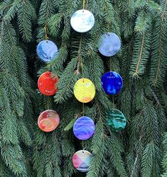 christmas ornaments hanging from the branches of a pine tree