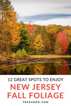 12 Great Places to Enjoy New Jersey Fall Foliage Fall Foliage Vermont, New Jersey Fall, Autumn Landscapes, Delaware Water Gap, Colorado Fall, New England Fall, Garden State, Waterfall Hikes