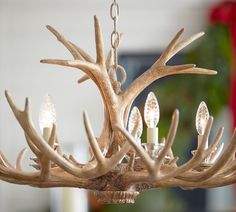 a deer antler chandelier hanging from a ceiling