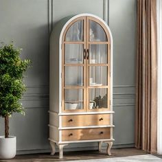 a cabinet with glass doors and drawers next to a potted plant