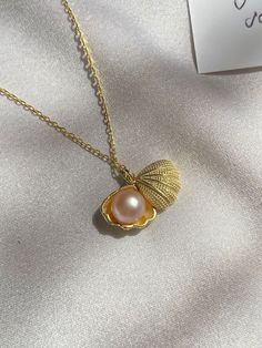 Aphrodite Altar, Oyster Necklace, Pinterest Jewelry, Oyster Pearl, Seashell Necklace, Funky Jewelry