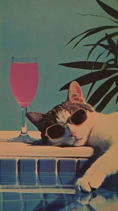 a cat wearing sunglasses laying on top of a pool next to a glass of wine