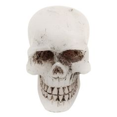 a white and black skull with teeth on it's face, against a white background