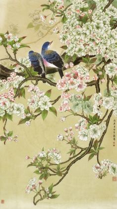 two birds are sitting on a flowering branch