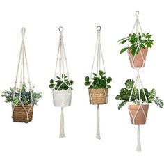 four hanging planters with plants in them