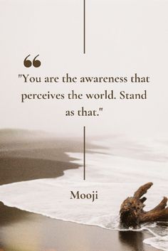 a quote from mooji on the ocean with an image of a tree branch