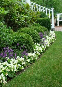 white and purple flowers line the side of a garden