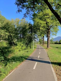 an empty road surrounded by trees and grass