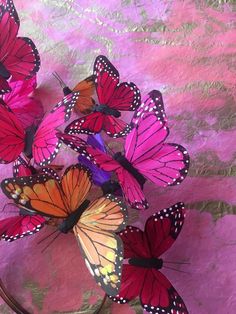 a bunch of pink and orange butterflies on a purple surface with gold foiling in the background