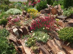 a garden with rocks and flowers growing on it's sides, in the foreground