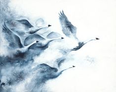 three geese flying in the sky with white clouds