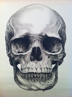 a black and white drawing of a human skull