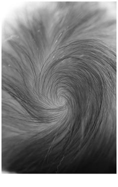 an abstract black and white photo of some hair