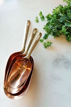 three measuring spoons sitting on top of a counter next to a sprig of green