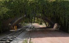 a train track under an arch covered in vines