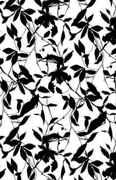 black and white silhouettes of leaves on a white background for wallpaper or fabric