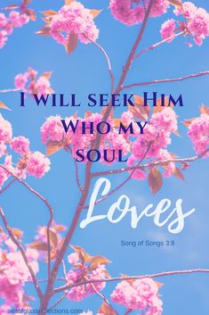 pink flowers with the words, i will seek him who my soul loves song of songs 31