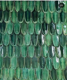 an image of green leaves on the side of a building