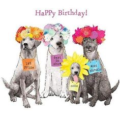 three dogs wearing flower crowns on their heads and the words happy birthday are written across them