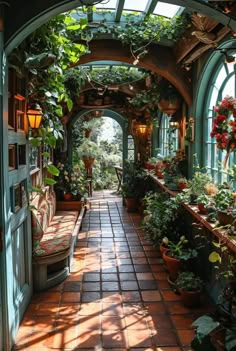 an arched walkway with potted plants on either side and sun shining through the windows